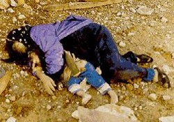 Can Liberal Societies Combat Radical Islam? 