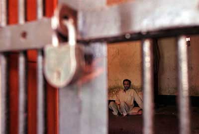 New publications on Egypt include