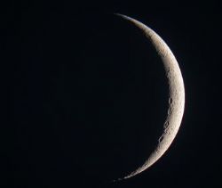 WH On Wrong Side Of Muslim Brotherhood