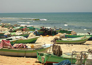 Gaza fishermen: 