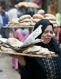 Swine Flu Panic in Egypt 