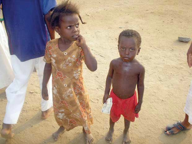 Crisis in Food Prices Threatens Worldwide Starvation Is it Genocide?