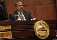 Fahmi to U.S. Lawmakers: Principles of Constitution Agreed, Respect Will of Egyptian People