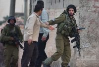 IOF troops assault old woman, arrest her son