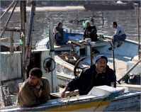 IOF bullets wound fisherman, 3 children injured in blast of IOF ordnance