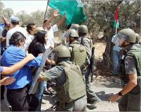 ISM: Popular resistance expands in An Nabih Salih