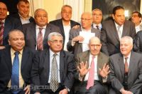 Egypt's Opposition calls for constitutional reform