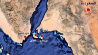 Statement by Egyptian Parliament Abroad Warns Against Tiran and Sanafir Islands Handover