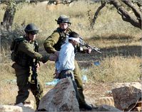 IOF troops arrest a whole family in southern Jenin