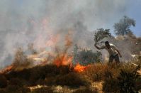 Zionist settlers burn olive fields, run over a youth