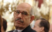 Egypt:  Diplomat Wants to 'Save' Egypt