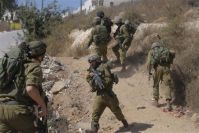 Zionist settlers drench Palestinian grapevines with sewage water