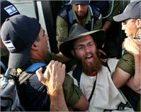 Jewish settlers on the rampage in Salfit