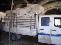 Gaza Feature: You Can’t Develop An Economy Based On Tunnels