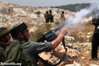 IOF troops violently disperse peaceful march