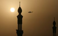 The Muslim Brotherhood: Between Survival and Progress