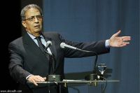 Arab Secretary General denounces foreign intervention in Egypt’s affairs