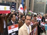 The Brotherhood is silenced, again