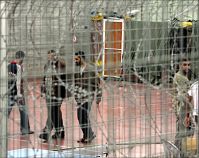 Palestinian prisoner dies in IOA jail, Hamas holds IOA responsible