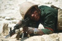 IOF soldiers wound Palestinian worker, start war games