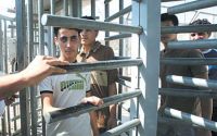 Death threatens tens of Palestinian captives in Israeli jails
