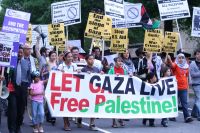 European campaign denounces threats to foreign activists