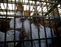 Abadeya Prison Detainees Face Medical Neglect Slow Death