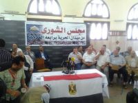 Statement by Egypt's Upper House After Holding Its Second Session in Rabaa Al-Adaweya Square