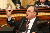 MB MP condemns arrest of ElBaradei's supporters in Kuwait