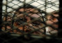 A Bad Weekend for ME Bloggers and Social Networkers