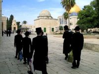 Zionist settlers storm Aqsa plaza