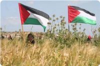 IOF troops block planting olive trees, shoot at Palestinian driver