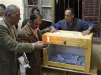 Egypt’s Legitimacy Crisis in the Aftermath of Flawed Elections