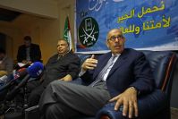 ISN: US denies support of ElBaradei's call to integrate MB into Egypt's political system