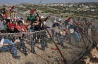 IOF troops fire at a peaceful demonstration