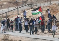 Dozens hurt in Bilin weekly anti wall march