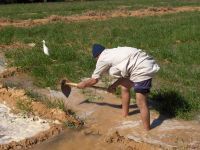 12 Million Egyptians to be Affected by Climate Change