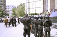 Suez' Muslim Brotherhood members receive 30 days detention renewal.